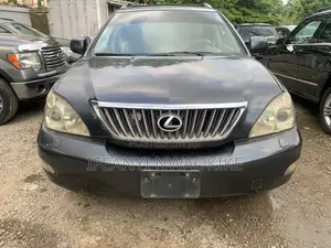 Lexus RX 350 2007 Gray