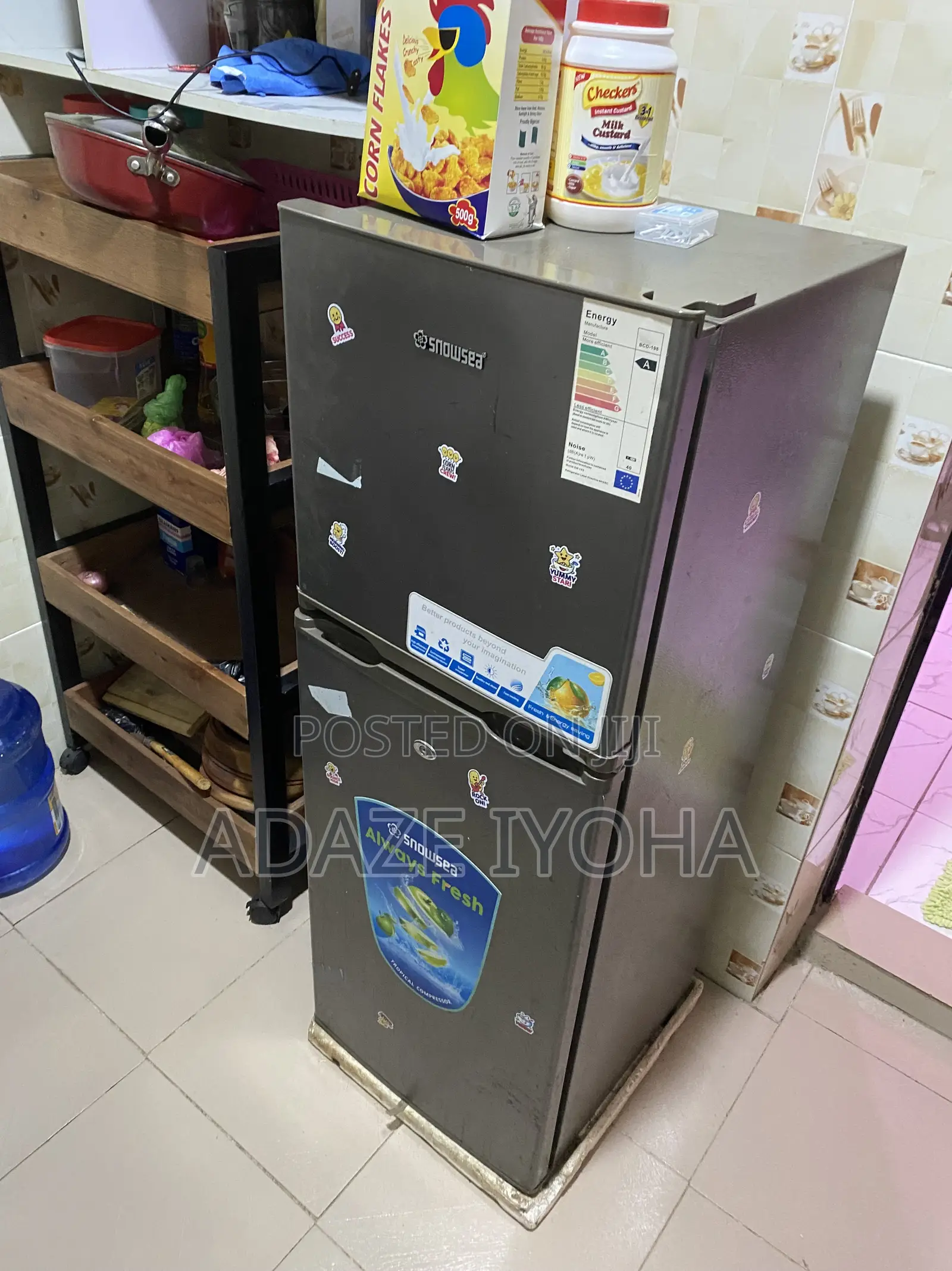 Standing Fridge