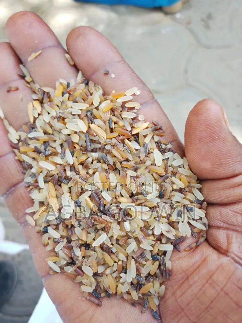 50kg Premuim Grade Dog Rice