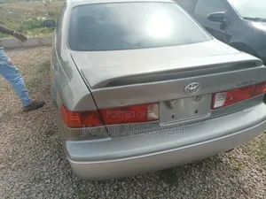 Toyota Camry 2001 Gray