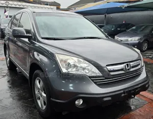 Honda CR-V 2010 Gray