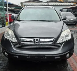 Honda CR-V 2010 Gray