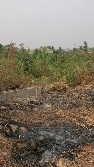 100/160 Plot of Land in Ofada Mowe Ogun State