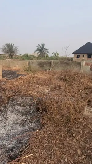 100/160 Plot of Land in Ofada Mowe Ogun State
