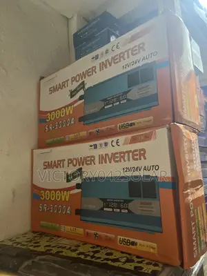 Smart Power Inverter 3000w 12/24v Auto