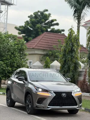 Lexus NX 2022 Gray