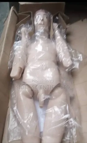 Male Manikin