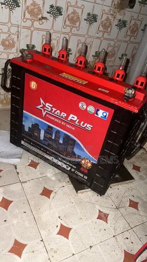 Inverter Battery