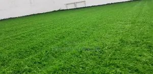Artificial Grasses