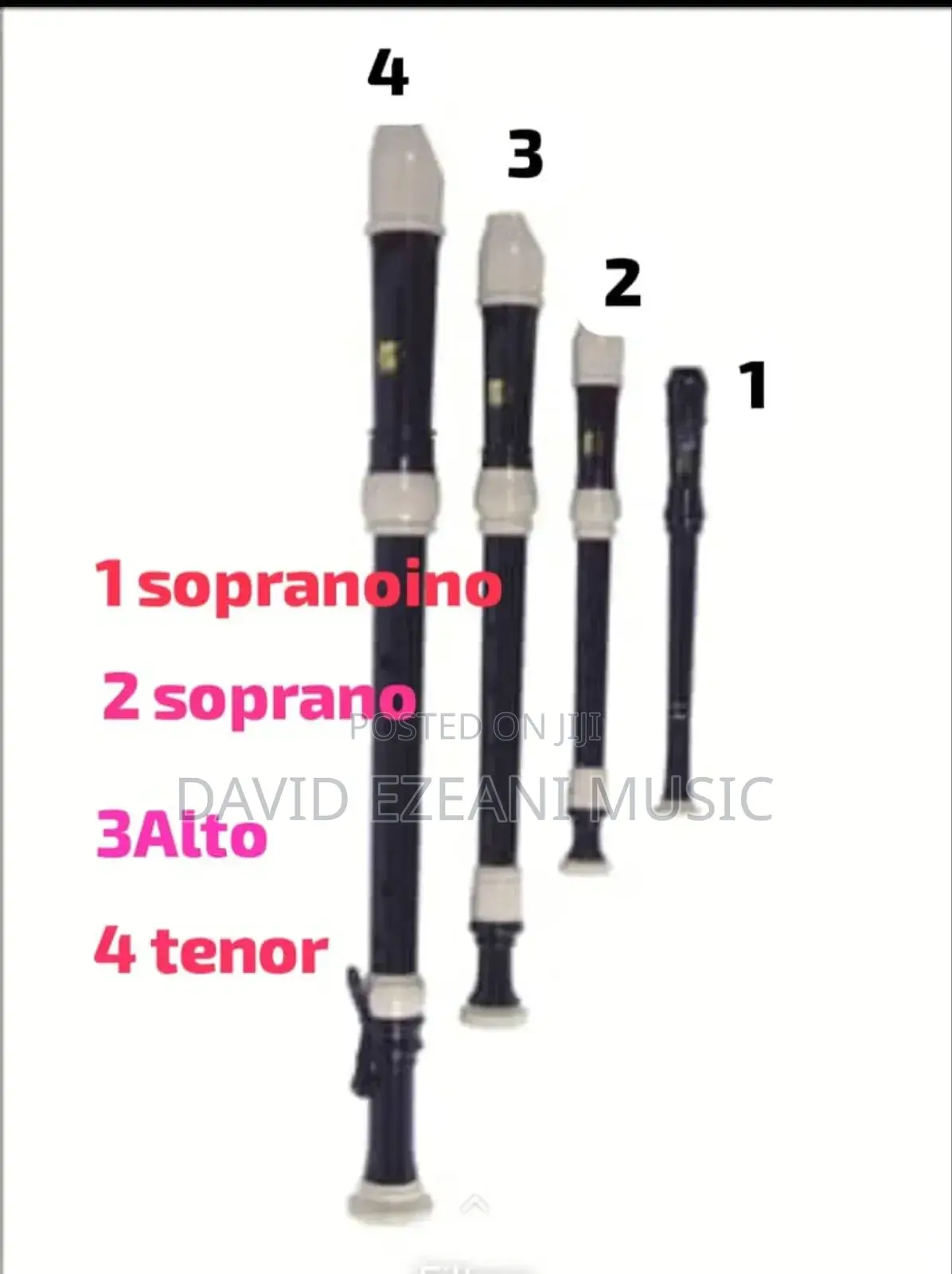 Flute And Recorder Classes
