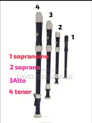 Flute And Recorder Classes