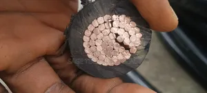 500mm Single Coleman PVC PVC Armoured Cable