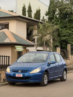Peugeot 307 2004 Blue