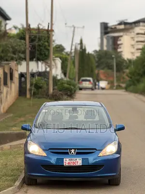 Peugeot 307 2004 Blue
