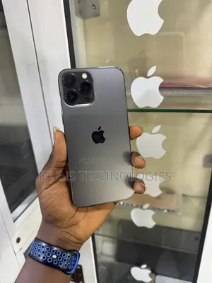 Apple iPhone 13 Pro Max 128 GB Gray