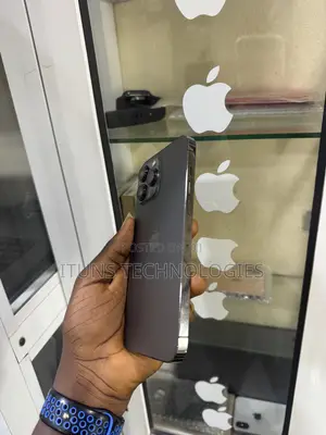 Apple iPhone 13 Pro Max 128 GB Gray