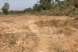 50x100sq: Meter: Land for Sale at Anambra State