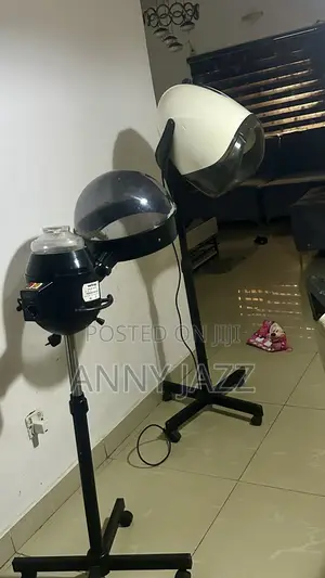 Standing Hair Dryer and Hair Steamer
