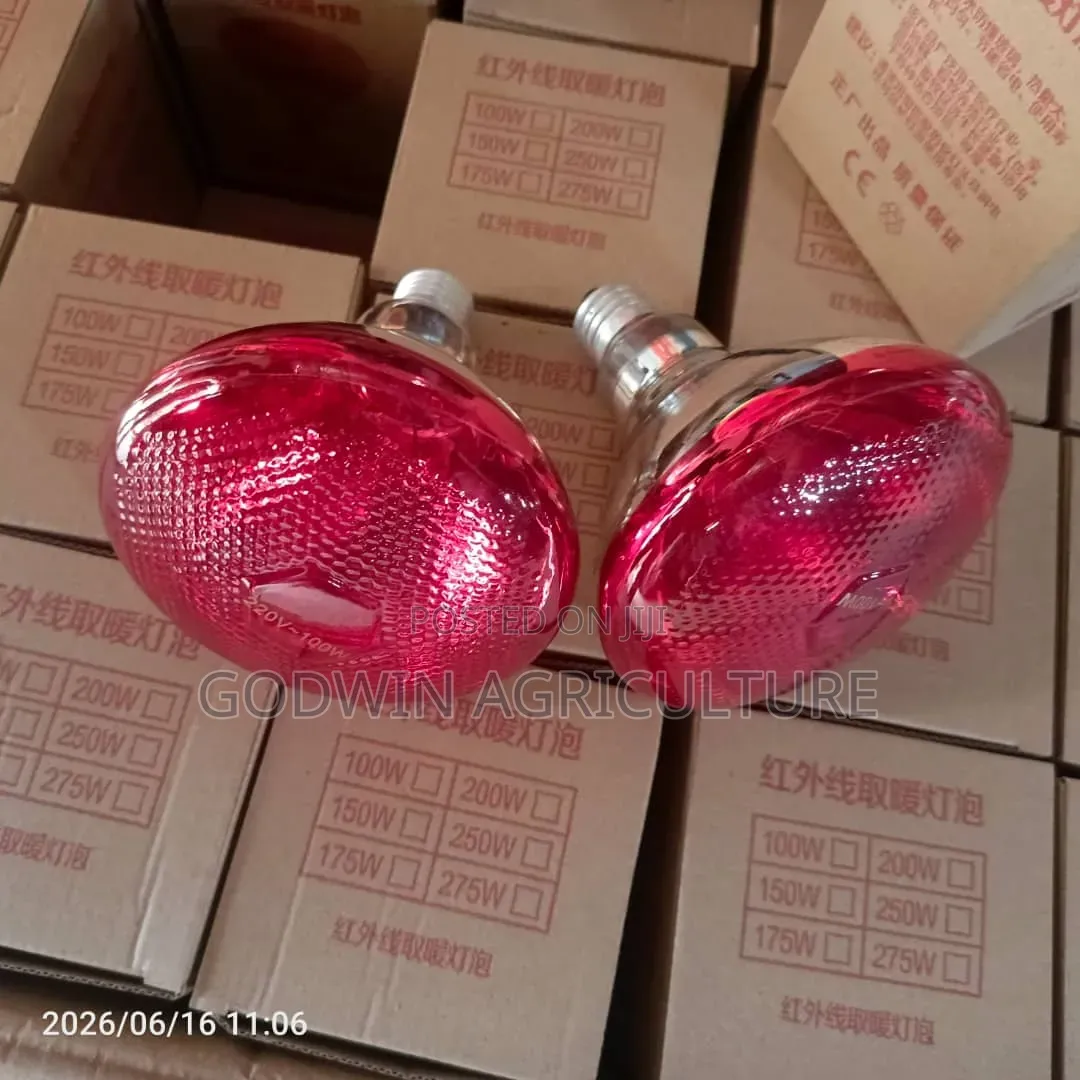 Infrared Light Bulb for Brooding