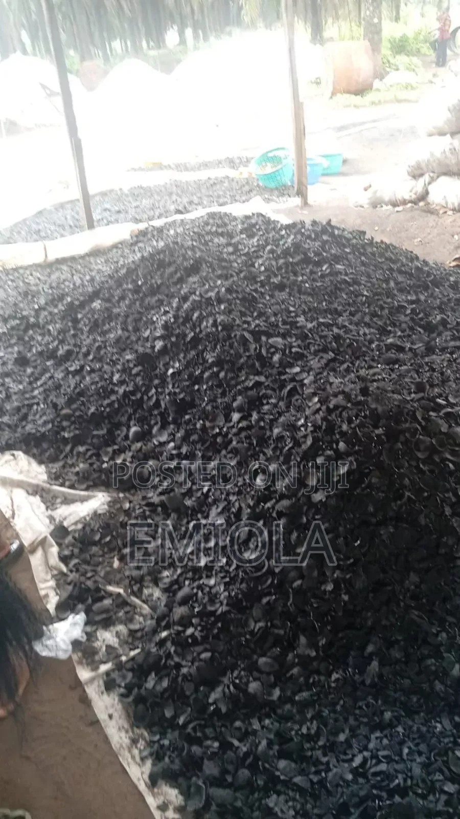 Coconut Shell Charcoal