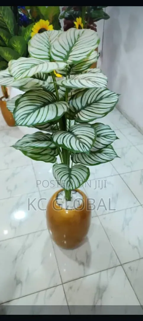 Quality Artificial Plants and Pot Available