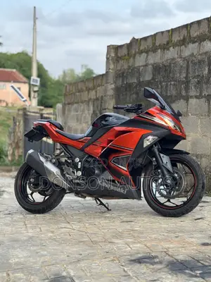 Kawasaki Ninja 300 2017 Red