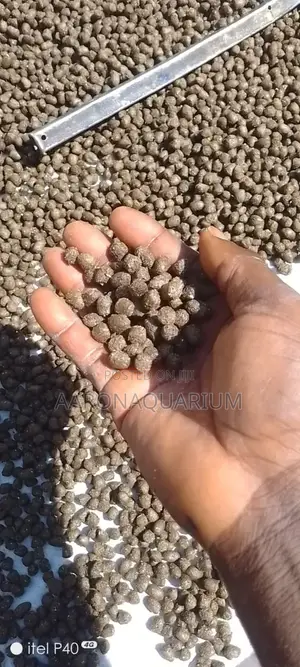 Fast Growth Quality Feed