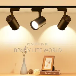 30 Watt Led Track Light With Adjustable Rail