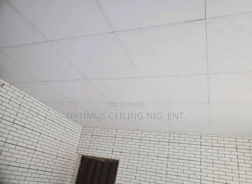 Suspended Ceiling