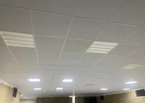 Suspended Ceiling