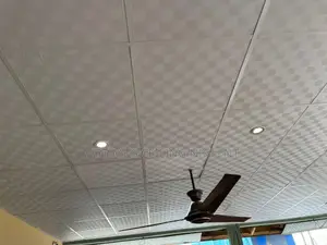 Suspended Ceiling
