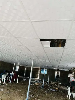 Suspended Ceiling