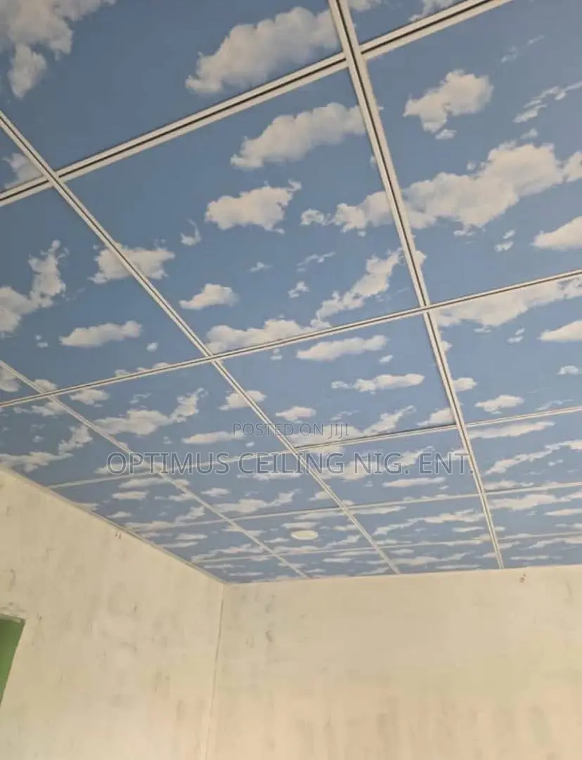 Suspended Ceiling