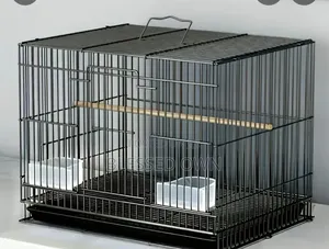 Bird Cage for All Parrots