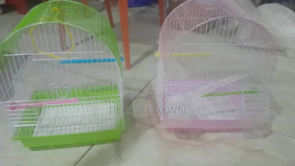Fancy Foreign Bird Cage