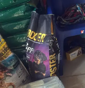 Dog Food for Puppy and Adults Are Available