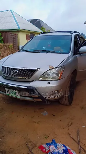 Lexus RX 2009 Silver