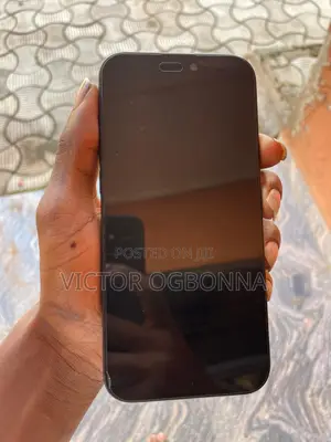 Apple iPhone 16 Pro Max 256 GB Black