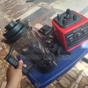 Kenwood Blender 6 Months Old