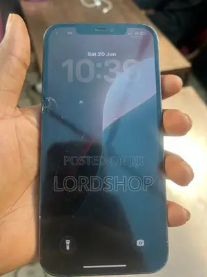 Apple iPhone 12 Pro Max 256 GB Blue