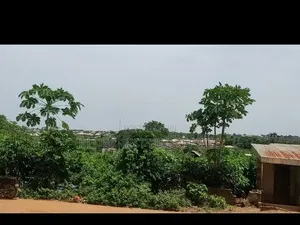 4 Plot Of Land For Sale At Success Estate Olorunda Akobo Ibadan