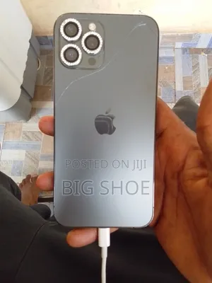 Apple iPhone 12 Pro Max 128 GB Gray