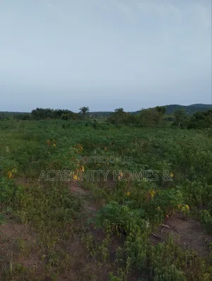 30 Acres Is Available at Sirafu Along Iseyin Ibadan Express Road