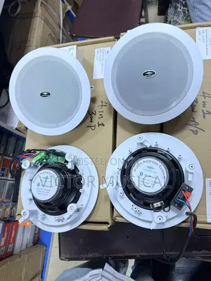Bluetooth Ceiling Speaker
