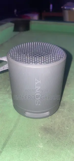 Sony Speaker