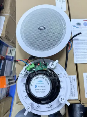 2in1 Bluetooth Ceiling Speaker