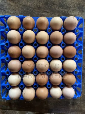 Crates of Egg