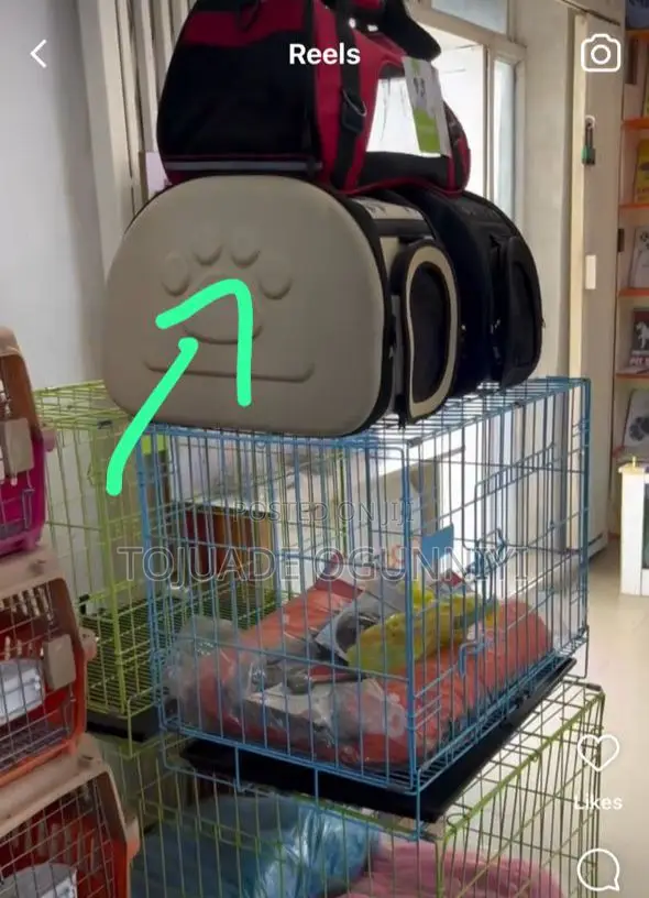 Cage, Pet Carrier , Collar+ Leash
