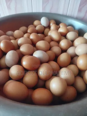 Farm Fresh Eggs
