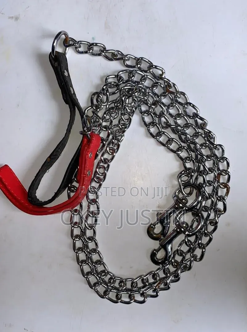Dog Leash (Different Sizes)